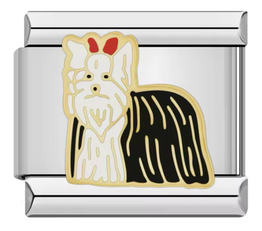 Charm mascota