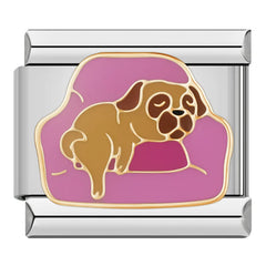 Charm Mascota