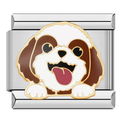 Charm Mascota